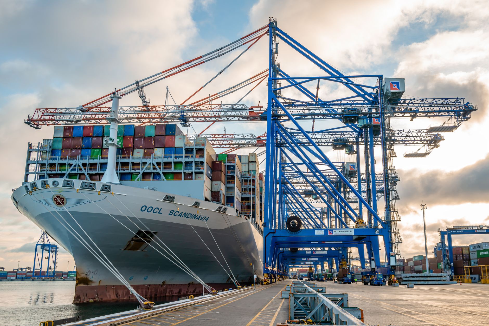 Container ship OOCL Scandinavia docked in Gdańsk harbor with cranes and cargo containers.