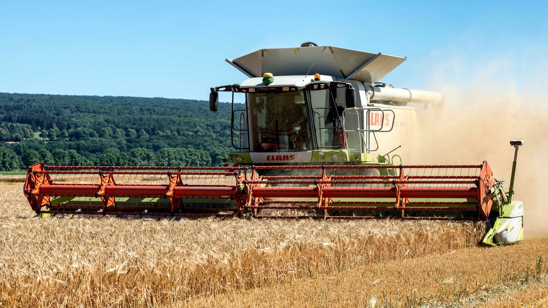 A combine harvester operates in a wheat field during a sunny day in Höxter, Germany.