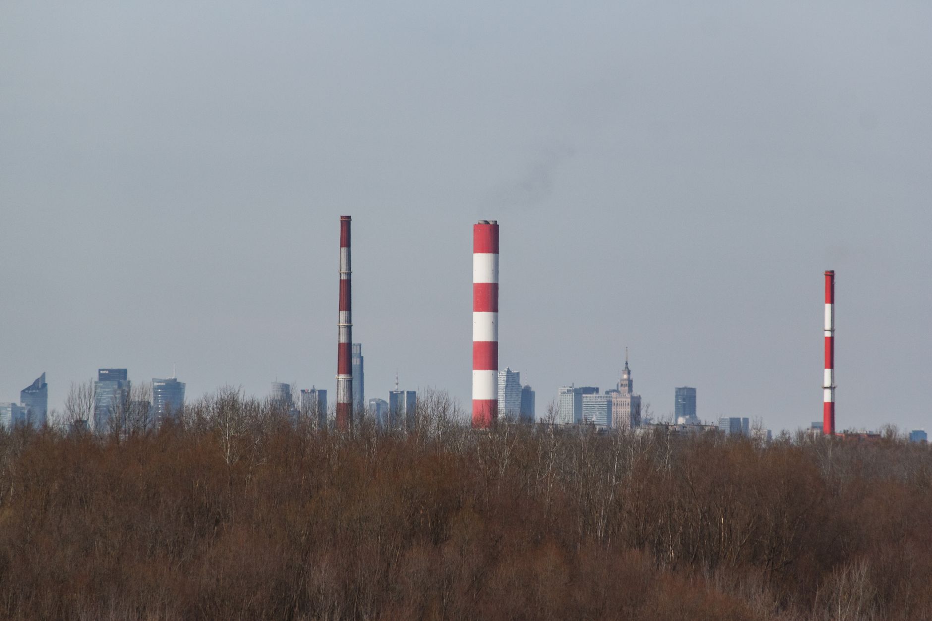 Chimneys and skyline of Warsaw with a natural foreground. Urban and industrial contrast.
