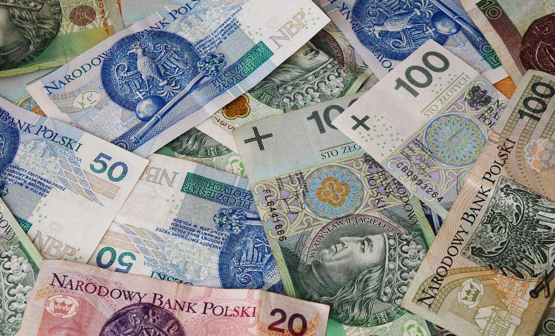 Diverse array of Polish banknotes showcasing various denominations and intricate designs.